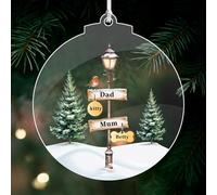 Personalised Christmas Bauble 2025 Christmas Tree Decorations Custom Christmas Ornaments Family & Pet Xmas Tree Baubles Gifts Baubles for Pets Lover (2 People, 1 Dog+1 Cat)