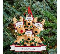 Personalised Christmas Baubles, Custom Family Christmas Decorations 2025, Reindeer Ornaments with Names for 2-8 Family Members, Xmas Tree Hanging Pendants Decor Gifts for Loved Ones