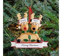 Personalised Christmas Baubles, Custom Family Christmas Decorations 2025, Reindeer Ornaments with Names for 2-8 Family Members, Xmas Tree Hanging Pendants Decor Gifts for Loved Ones