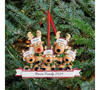 Personalised Christmas Baubles, Custom Family Christmas Decorations 2025, Reindeer Ornaments with Names for 2-8 Family Members, Xmas Tree Hanging Pendants Decor Gifts for Loved Ones