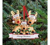 Personalised Christmas Baubles, Custom Family Christmas Decorations 2025, Reindeer Ornaments with Names for 2-8 Family Members, Xmas Tree Hanging Pendants Decor Gifts for Loved Ones
