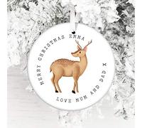 Personalised Christmas Ceramic Bauble - Gift Edition - Keepsake Decoration - Add A Name & Message (Watercolour Reindeer)