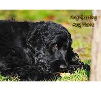 Personalised Cocker Spaniel Dog Greeting Card (Birthday, Mothers Day, Fathers Day, Christmas, Blank) - Custom Card for Him Her Male Female Family Kids