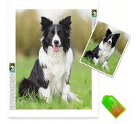 Personalised Diamond Art kits Adults Kids,5D Diamond Painting 14x18inch 2026 New Models Canvas Personalised Photo Gem Art Custom kits,DIY Custom Dimond Arts for Home Decor,Christmas Decorations 0b-188