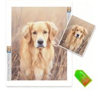 Personalised diamond Painting, Diamond Art kits Adults kids DIY personalised canvas Crystal Art, 5D Full Drill Custom Paint by Numbers Create Your Own Dimond Arts for Home Decor, Gifts16x20inch 0b-195