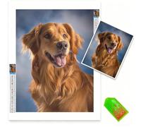 Personalised diamond Painting, Diamond Art kits Adults kids DIY personalised canvas Crystal Art, 5D Full Drill Custom Paint by Numbers Create Your Own Dimond Arts for Home Decor, Gifts18x24inch 0b-141