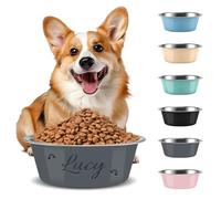 Personalised Dog Bowl, Custom Laser Engraved With Pet Name, Stainless Steel With Non-Slip Pad, Food & Water Dual-Use, Anti-Spill Feeding Dish For All Dog Breeds (Gray, M(21cm))
