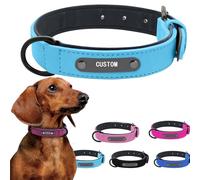 Personalised Dog Collar Custom Engraved with Name，Pet Plate PU leather Adjustable ID Tags Frosted Anti-lost Small Large Dog Cats Puppy Pet Collar Collar (Green, XS)