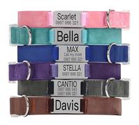 Personalised Dog Collar with Name Plate, Pet Collars with Engraved ID Metal Tag For Dogs, Adjustable Lightweight For Small Medium Large Pets (Blue-S)