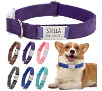 Personalised Dog Collar with Name Plate, Pet Collars with Engraved ID Metal Tag For Dogs, Adjustable Lightweight For Small Medium Large Pets (Purple-M)