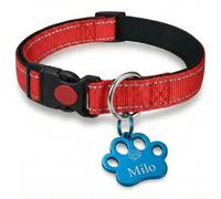 Personalised Dog ID Tag Engraved - Custom Pet Name Tag for Dogs & Cats, Stainless Steel Collar Tag, Clear Durable Engraving, UK Seller 35 * 30 MM Paw (Blue, Medium)