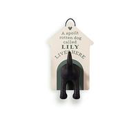 Personalised Dog Lead Hook (Lily)