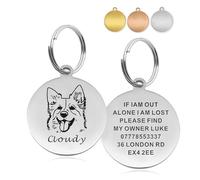 Personalised Dog Tags for Pets Engraved UK Cat Dog Name Identity Pet Tags,Custom Pet ID Tag Engraved with Pets Sketch Photo and Text,Premium Stainless Steel Scratch Resistant (Sliver, S-2.5CM)