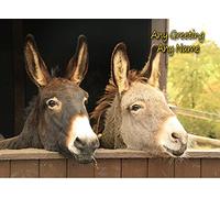 Personalised Donkey Card (Birthday, Mothers Day, Fathers Day, Christmas, Blank) - Custom Card for Him Her Male Female Family Kids