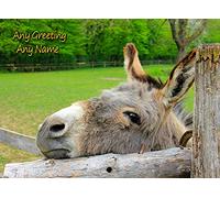 Personalised Donkey Card (Birthday, Mothers Day, Fathers Day, Christmas, Blank) - Custom Card for Him Her Male Female Family Kids