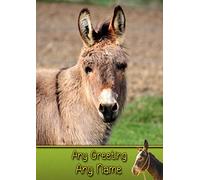 Personalised Donkey Greeting Card (Birthday, Mothers Day, Fathers Day, Christmas, Blank) - Custom Card for Him Her Male Female Family Kids