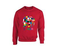 Personalised Elmer Jumper World Book Day Rainbow Elephant Sweater Birthday Gift Boy Comic Funny Character Unisex Kids Adults Sweatshirt(4XL, Red)