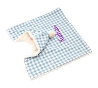 Personalised Embroidered Pet Name Blanket, Hooded Shawl Blanket, for Winter Sleeping Bags and Blankets for Pet Cats and Dogs (Blue, S)