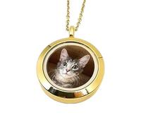 Personalised Envelope Necklace Custom Engraving Photo Pendant Openable Message Locket Silver and Gold, Stainless Steel Chain, Gifts for Women Birthday Fashion (H)