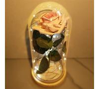 Personalised Eternal Rose in Glass with Engraving, Light Roses Birthday Gift for Mum, Mother's Day Gifts, Gifts for Women, Mum, Girlfriend, Women's Day, Wedding Anniversary, LED Valentine's Day, Her