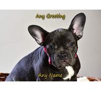 Personalised French Bulldog Dog Greeting Card (Birthday, Christmas, Any Occasion) - Custom Card for Him or Her Male Female Family Kids Boys Girls any Age