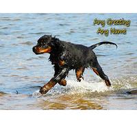 Personalised Gordon Setter Dog Greeting Card (Birthday, Mothers Day, Fathers Day, Christmas, Blank) - Custom Card for Him Her Male Female Family Kids