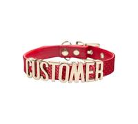 Personalised Gothic Name Choker Necklace, Custom Letters Name Choker Collar Necklace, Snakeskin Leather Collar, Custom Letters, Unisex DIY Customised Gifts (Red)