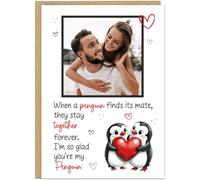 Personalised Happy Anniversary Photo Card Cute Penguin Design 'When A Penguin Finds Its Mate' - Loving Couples Romantice Quote Card Keepsake - 7 Colour Options To Suit Him or Her, Red & Black