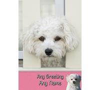 Personalised Havanese Dog Greeting Card (Birthday, Mothers Day, Fathers Day, Christmas, Blank) - Custom Card for Him Her Male Female Family Kids