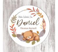Personalised Hello World Baby Plaque with Floral & Gold Frame - 11 Colour Options, Ideal as a New Baby Present for Mums, New Parents, Baby Arrival Keepsake (Feathers & Leaves with Bear)