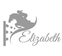 Personalised Horse Show Jumping Equestrian Name Trailer Wall Art Sticker Mural (Grey)