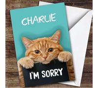 Personalised I'm Sorry Card For Anyone Ginger Cat | Personalized Custom Unique Greetings Card For I'm Sorry Any Text Inside & Out