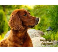Personalised Irish Red Setter Dog Greeting Card (Birthday, Mothers Day, Fathers Day, Christmas, Blank) - Custom Card for Him Her Male Female Family Kids