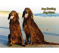 Personalised Irish Red Setter Dog Greeting Card (Birthday, Mothers Day, Fathers Day, Christmas, Blank) - Custom Card for Him Her Male Female Family Kids