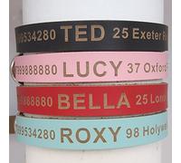 Personalised Leather Dog Collar Four Sizes 4 colours Laser Hand Finished in UK(Red,S)