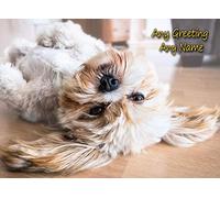 Personalised Lhasa Apso Dog Greeting Card (Birthday, Mothers Day, Fathers Day, Christmas, Blank) - Custom Card for Him Her Male Female Family Kids