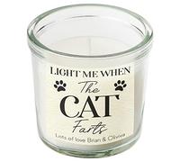 Personalised Light Me When The Cat Farts Funny Scented Candle in A Jar Gift Custom Message Cat Owners Gifts Cats Fart Candles Humorous Pet Present Keepsake (Large)
