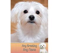 Personalised Maltese Dog Greeting Card (Birthday, Mothers Day, Fathers Day, Christmas, Blank) - Custom Card for Him Her Male Female Family Kids