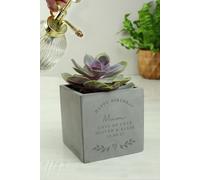 Personalised Memento Company Personalised Free Text Concrete Plant Pot in Grey | Size: Small Personalised Memento Company Grey Small
