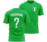 Personalised Nigeria T Shirt for Men Custom Name and Number Football Africa Badge Nation Supporters Soccer Tee, XXL, Irish Green