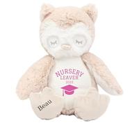 Personalised Nursery Leaving Gift Bunny with Name - Pink Nursery Leaver 2025 Soft Toy for Boy Girl Graduation Preschool Starting School - Brown Owl