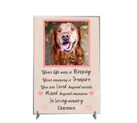 Personalised Pet Bereavement Photo Plaque 'In Loving Memory' - Available in MDF or Acrylic, Size 148mm x 210mm Sign for Your Dog, Cat, Horse, Rabbit, or Bird (Acrylic 21cm x 15cm, Pink)