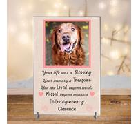Personalised Pet Bereavement Photo Plaque 'In Loving Memory' - Custom Text, Available in MDF or Acrylic, Size 148mm x 210mm Sign for Your Dog, Cat, Horse, Rabbit, Bird (Acrylic A4 30cm x 21cm, Pink)