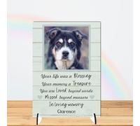 Personalised Pet Bereavement Photo Plaque 'In Loving Memory' - Custom Text, Available in MDF or Acrylic, Size 148mm x 210mm Sign for Your Dog, Cat, Horse, Rabbit, Bird (Mdf Wood A4 30cm x 21cm, Mint)