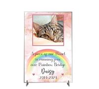 Personalised Pet Bereavement Photo Plaque with Custom Text - Available in MDF or Acrylic, Choice of Colours, Size 148mm x 210mm 'In Loving Memory' Tribute for Pets (Acrylic A4 30cm x 21cm, Pink)