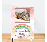 Personalised Pet Bereavement Photo Plaque with Custom Text - Available in MDF or Acrylic, Choice of Colours, Size 148mm x 210mm 'In Loving Memory' Tribute for Pets (Mdf Wood A4 30cm x 21cm, Pink)