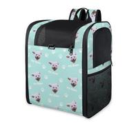 Personalised Pet Carrier Backpack - Custom Photo & Name Ventilated Cat Dog Backpack Carrier, Foldable Travel Bag for Small Medium Pets, Safety Lock & Removable Mat, Cyan