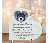 Personalised Pet Cat or Dog Memorial Plaque - 'Your Life Was a Blessing' - Available in MDF or Acrylic, Sizes Small to Large (Mdf Wood 19cm x 19cm, Mint)