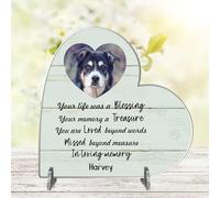Personalised Pet Cat or Dog Memorial Plaque - 'Your Life Was a Blessing' - Available in MDF or Acrylic, Sizes Small to Large (Acrylic 18.5cm x 19cm, Mint)