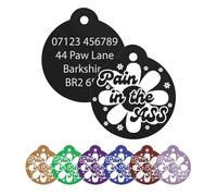 Personalised Pet Collar ID - Durable Engraved Name Tag for Dogs & Cats, Funny & Quirky Gift, Safety Charm - Pain in The Ass